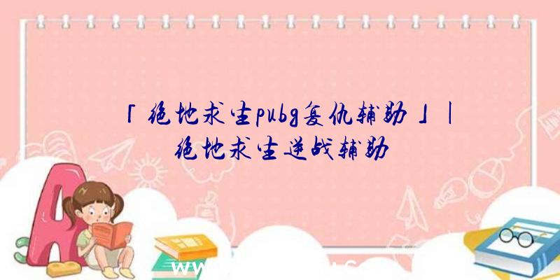 「绝地求生pubg复仇辅助」|绝地求生逆战辅助